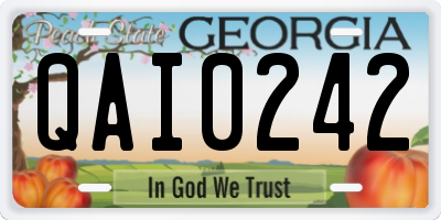GA license plate QAI0242