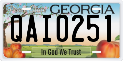 GA license plate QAI0251