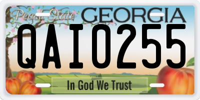 GA license plate QAI0255