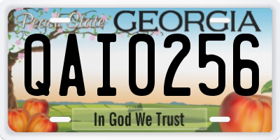 GA license plate QAI0256
