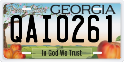 GA license plate QAI0261