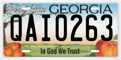 GA license plate QAI0263