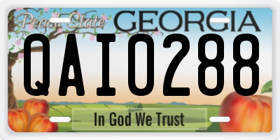 GA license plate QAI0288