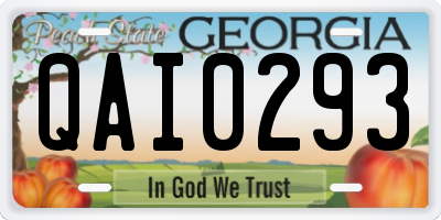 GA license plate QAI0293