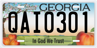 GA license plate QAI0301
