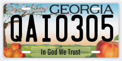 GA license plate QAI0305