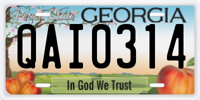 GA license plate QAI0314