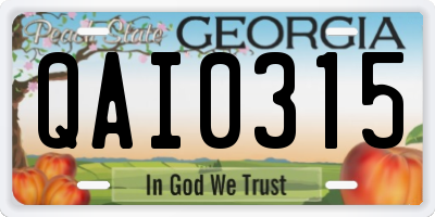 GA license plate QAI0315