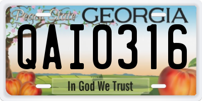 GA license plate QAI0316