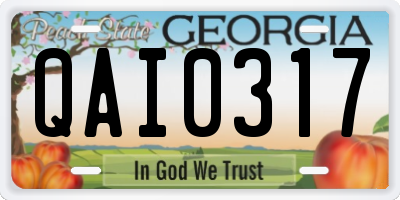 GA license plate QAI0317