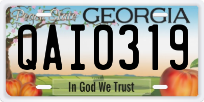 GA license plate QAI0319