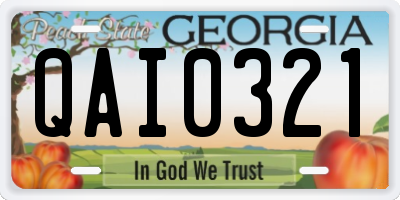 GA license plate QAI0321