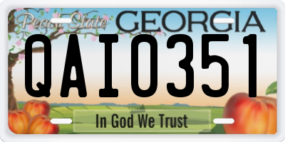 GA license plate QAI0351