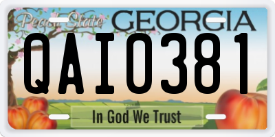 GA license plate QAI0381