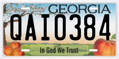 GA license plate QAI0384