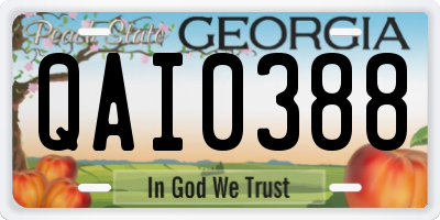 GA license plate QAI0388