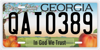 GA license plate QAI0389