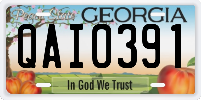 GA license plate QAI0391