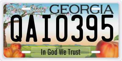 GA license plate QAI0395