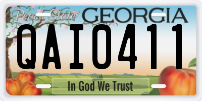 GA license plate QAI0411