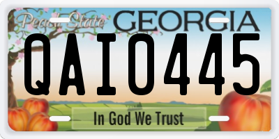 GA license plate QAI0445
