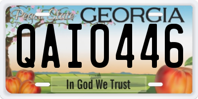 GA license plate QAI0446