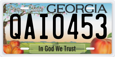 GA license plate QAI0453