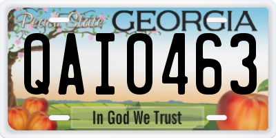 GA license plate QAI0463