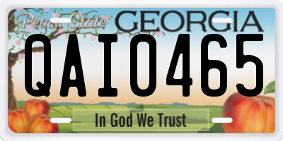 GA license plate QAI0465