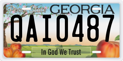 GA license plate QAI0487