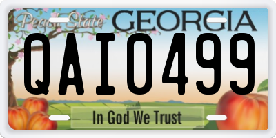 GA license plate QAI0499
