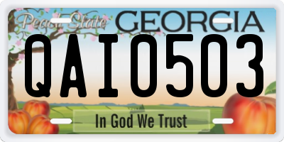 GA license plate QAI0503