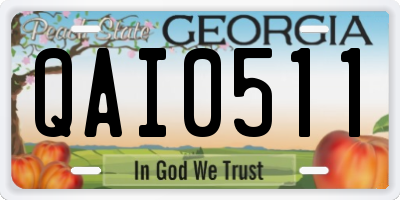 GA license plate QAI0511