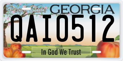 GA license plate QAI0512
