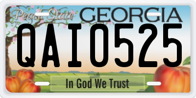 GA license plate QAI0525