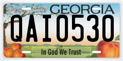 GA license plate QAI0530