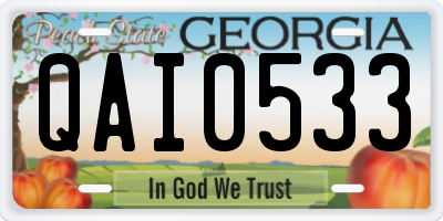 GA license plate QAI0533