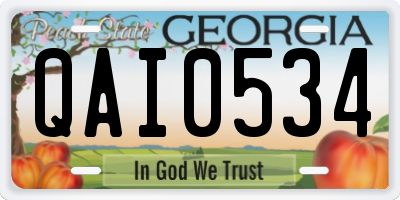 GA license plate QAI0534