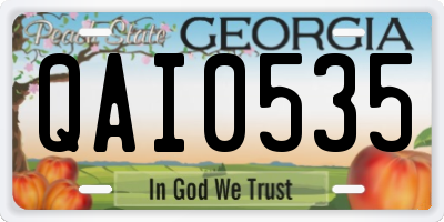 GA license plate QAI0535