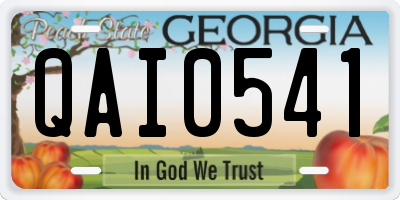 GA license plate QAI0541