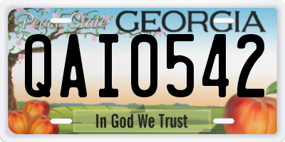 GA license plate QAI0542