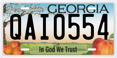 GA license plate QAI0554