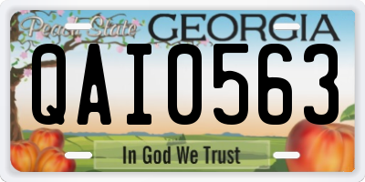GA license plate QAI0563