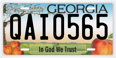 GA license plate QAI0565