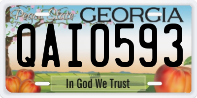 GA license plate QAI0593