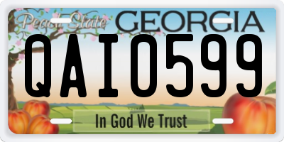 GA license plate QAI0599