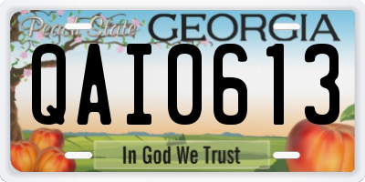 GA license plate QAI0613