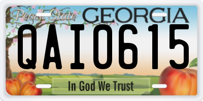 GA license plate QAI0615