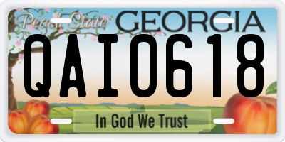 GA license plate QAI0618