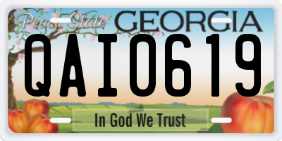 GA license plate QAI0619